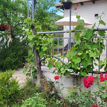 Ioannis Houses - Gemuetliches Ferienhaus Im Olivenhain Skala Potamia  Eksteriør billede