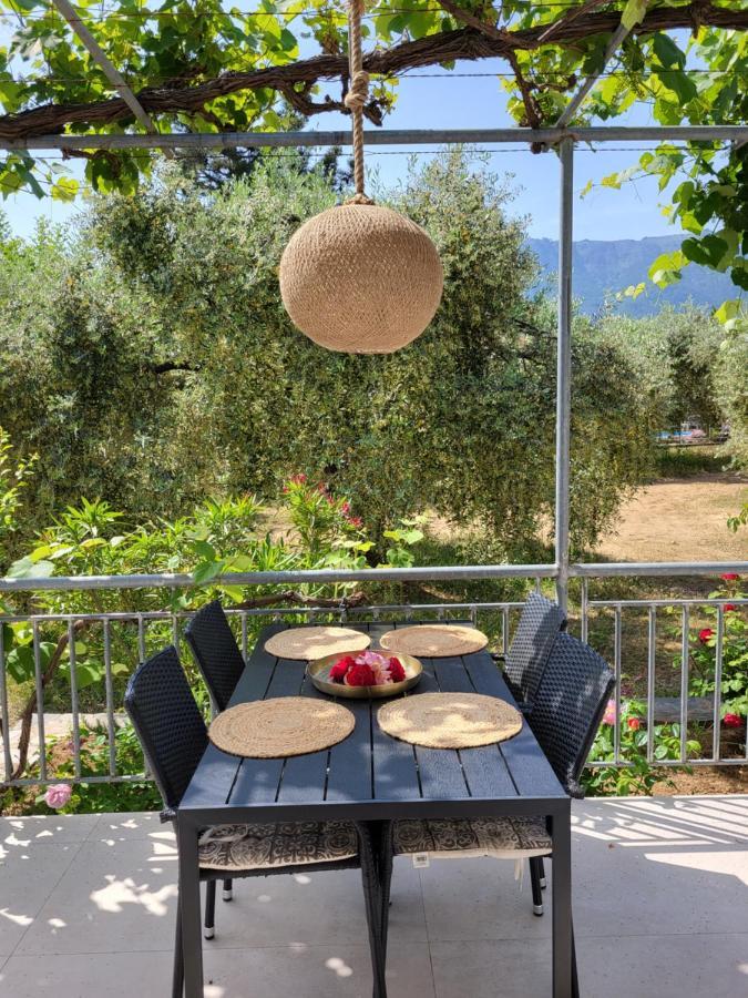 Ioannis Houses - Gemuetliches Ferienhaus Im Olivenhain Skala Potamia  Eksteriør billede