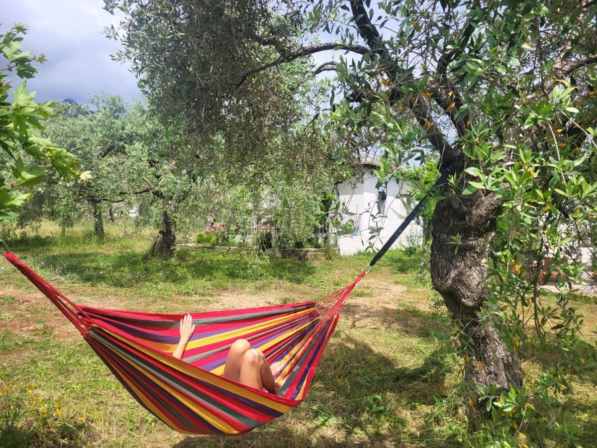 Ioannis Houses - Gemuetliches Ferienhaus Im Olivenhain Skala Potamia  Eksteriør billede