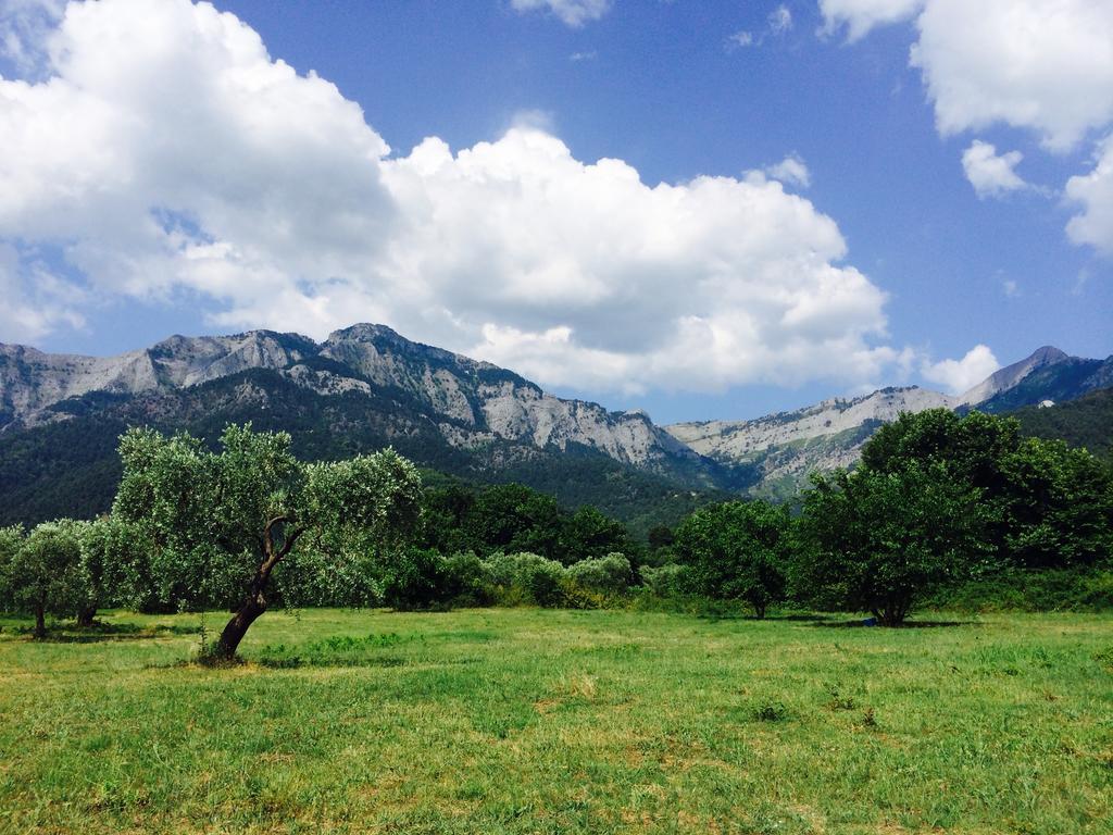 Ioannis Houses - Gemuetliches Ferienhaus Im Olivenhain Skala Potamia  Eksteriør billede